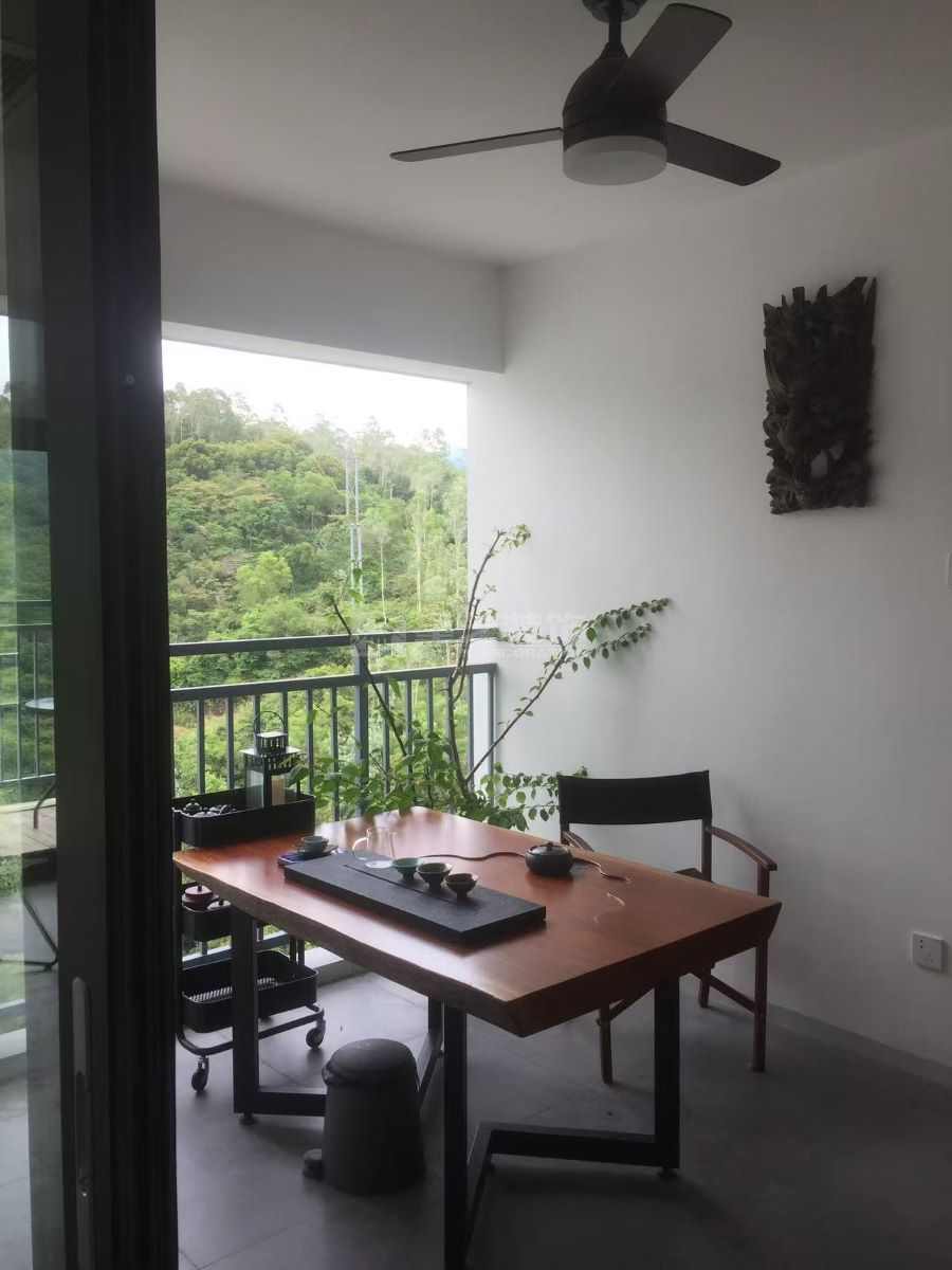 海珠半岛(图9)