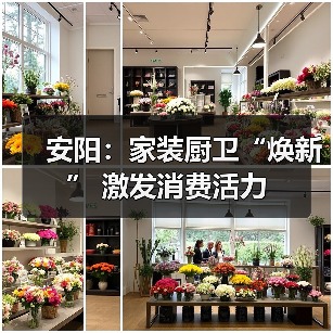 安阳：家装厨卫“焕新” 激发消费活力（图3）