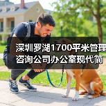 深圳罗湖1700平米管理咨询公司办公室现代简约设计(图2) 深圳罗湖1700平米管理咨询公司办公室现代简约设计(图2)