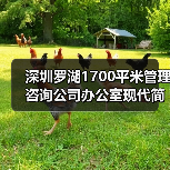 深圳罗湖1700平米管理咨询公司办公室现代简约设计(图1) 深圳罗湖1700平米管理咨询公司办公室现代简约设计(图1)