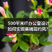 500平米IT办公室设计如何实现高端简约风?(图2) 500平米IT办公室设计如何实现高端简约风?(图2)