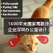 1600平米国家高新技术企业深圳办公室设计 | 稻兴中心(图4) 1600平米国家高新技术企业深圳办公室设计 | 稻兴中心(图4)