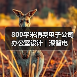 800平米消费电子公司办公室设计 | 深智电(图4) 800平米消费电子公司办公室设计 | 深智电(图4)