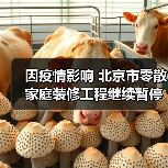 因疫情影响 北京市零散家庭装修工程继续暂停(图1) 因疫情影响 北京市零散家庭装修工程继续暂停(图1)