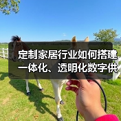 定制家居行业如何搭建一体化、透明化数字供应链平台?(图3) 定制家居行业如何搭建一体化、透明化数字供应链平台?(图3)
