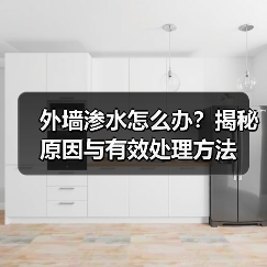 外墙渗水怎么办?揭秘原因与有效处理方法(图1) 外墙渗水怎么办?揭秘原因与有效处理方法(图1)