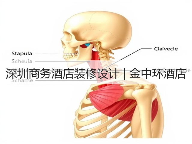 深圳商务酒店装修设计 | 金中环酒店(图2) 深圳商务酒店装修设计 | 金中环酒店(图2)