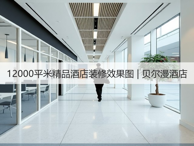 12000平米精品酒店装修效果图 | 贝尔漫酒店(图2) 12000平米精品酒店装修效果图 | 贝尔漫酒店(图2)