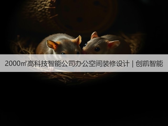 2000㎡高科技智能公司办公空间装修设计 | 创凯智能(图1) 2000㎡高科技智能公司办公空间装修设计 | 创凯智能(图1)