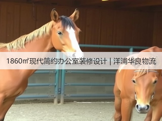 1860㎡现代简约办公室装修设计 | 洋浦华良物流(图3) 1860㎡现代简约办公室装修设计 | 洋浦华良物流(图3)