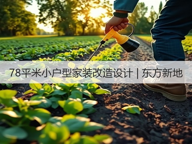 78平米小户型家装改造设计 | 东方新地(图3) 78平米小户型家装改造设计 | 东方新地(图3)